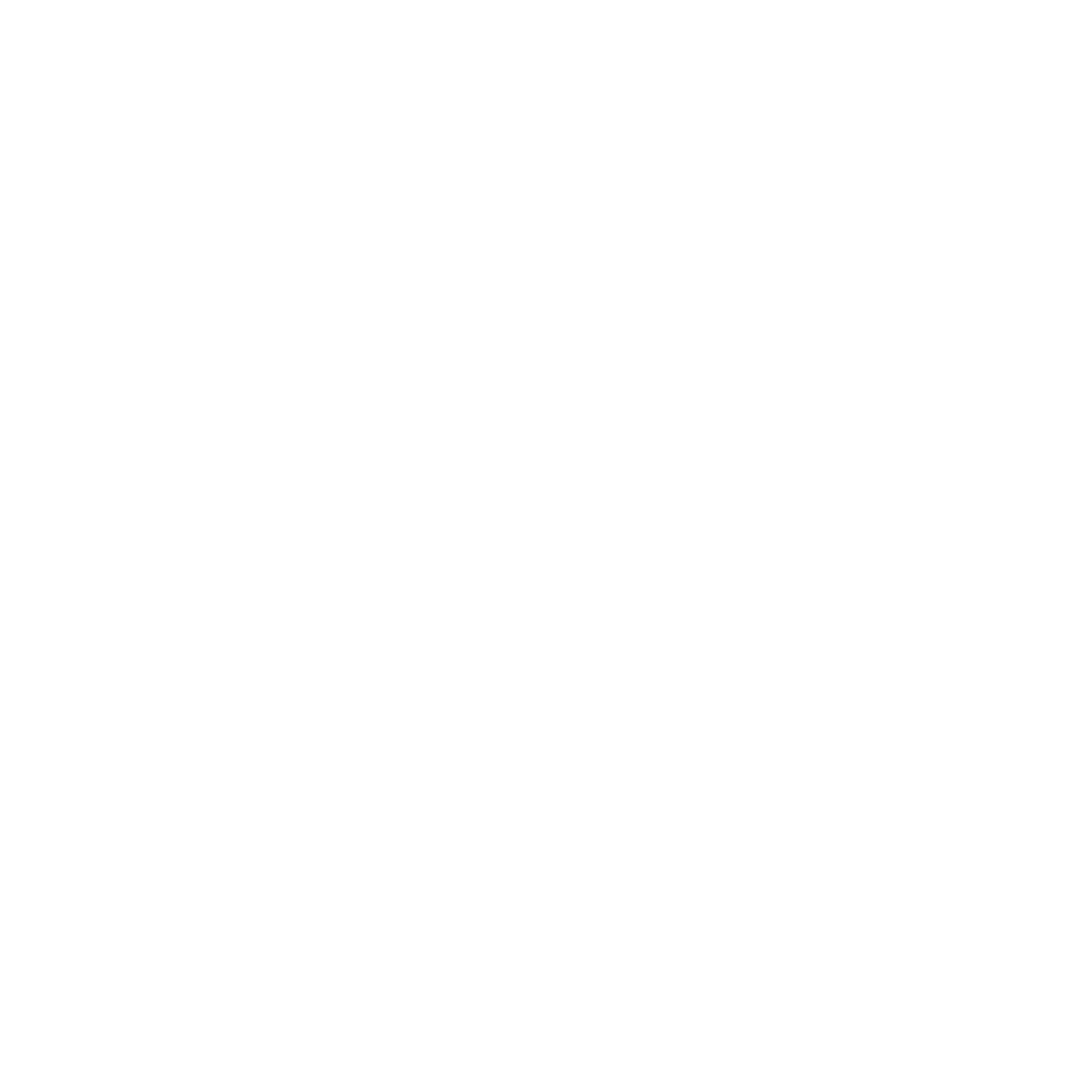 Noordlicht Logo White