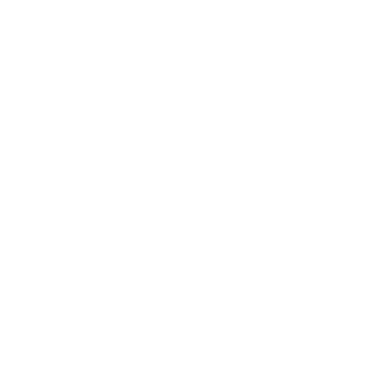 Wordmark White