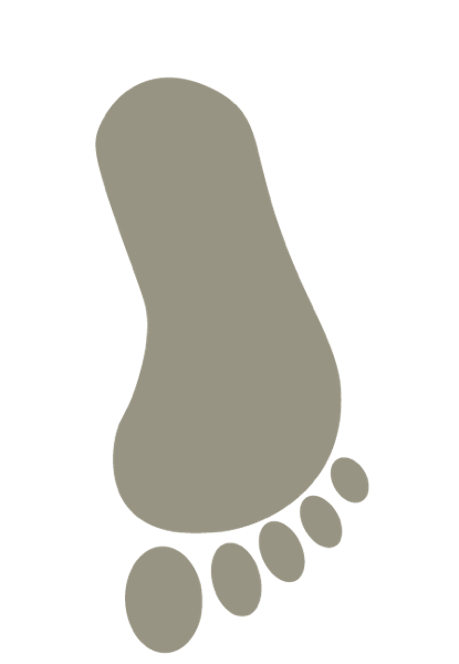 feet2