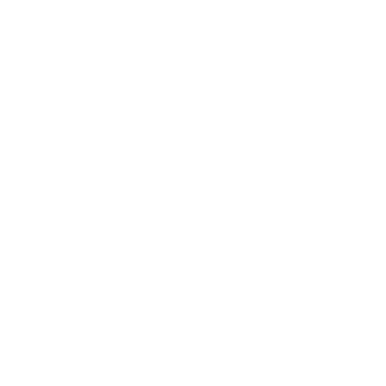 Wordmark White