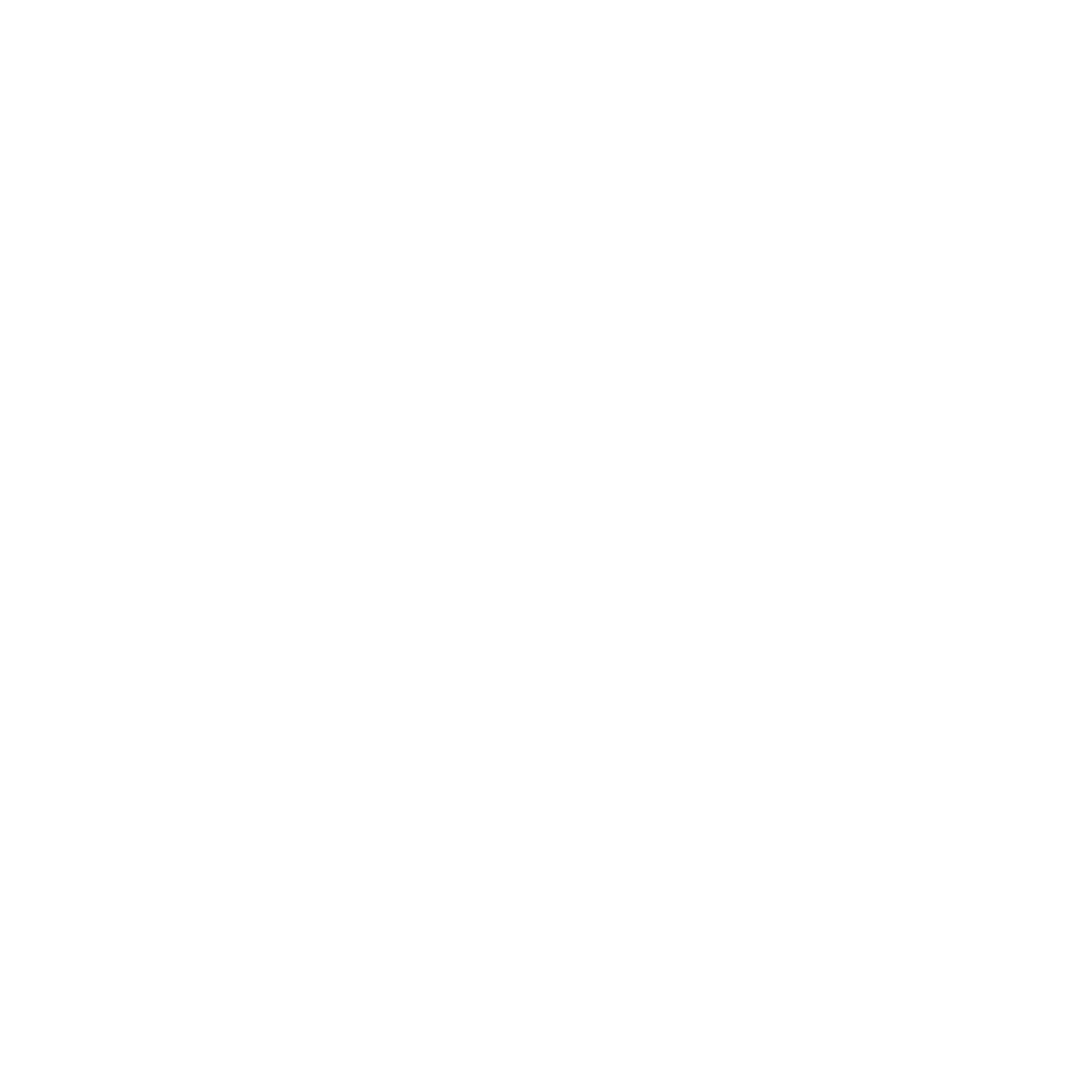 Noordlicht Logo White
